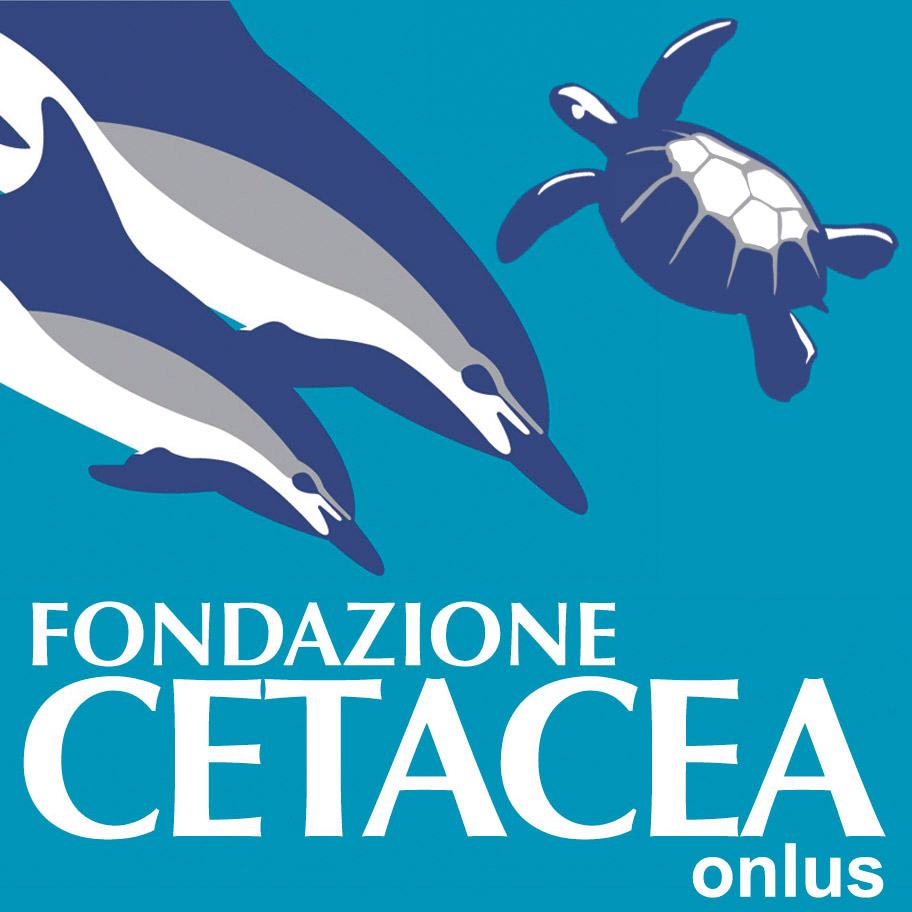 Fondazione Cetacea Onlus
