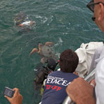 MARINE TURTLE RELEASE by R.Filippetti