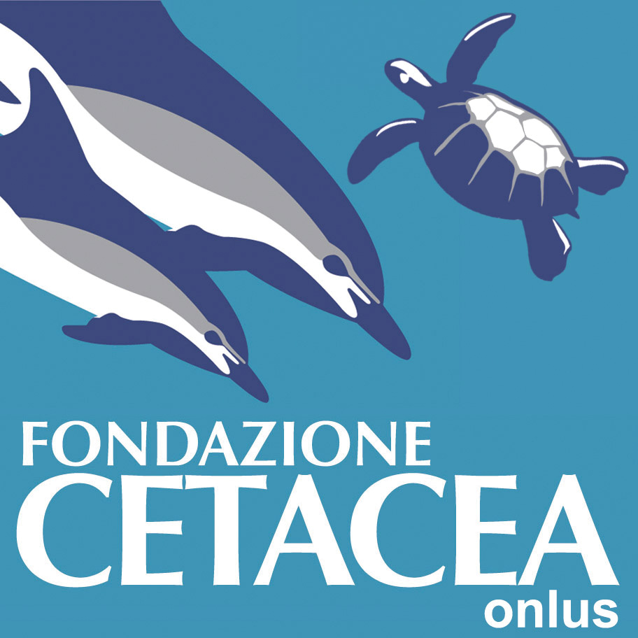 Fondazione Cetacea