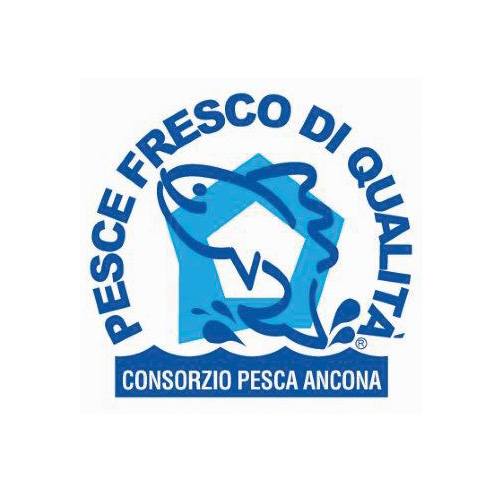 Consorzio Pesca Ancona